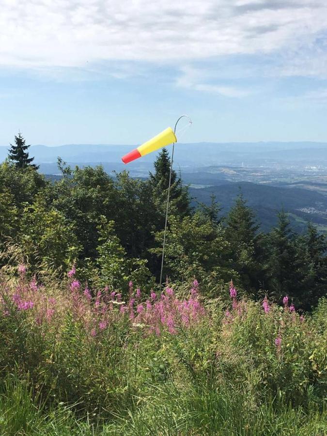Berghaus Hochblauen Hotel Marxzell ภายนอก รูปภาพ